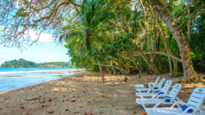 Caribbean Beach front property
