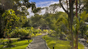 Tropical Garden Grounds of Dragonfly Beach Retreat